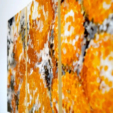 Binario9 Alojamento de Acomodação e Pequeno-almoço 4*